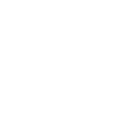 Pawprint, comb and scissors icon